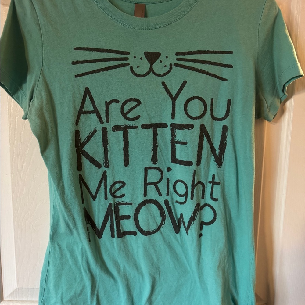 Next Level Apparel Teal Cat T-Shirt